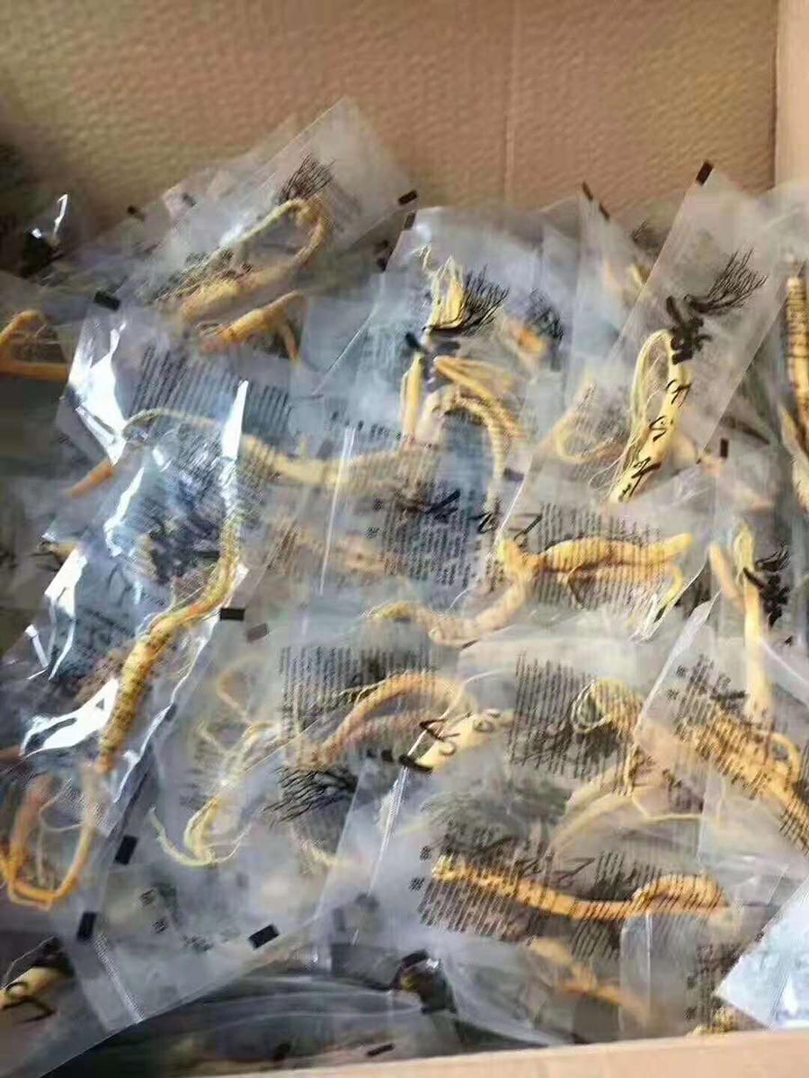 促销礼品小人参